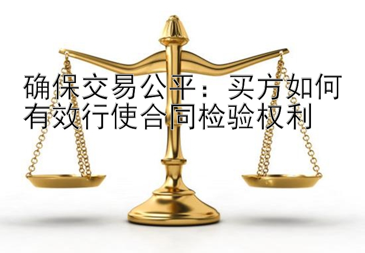 确保交易公平：买方如何有效行使合同检验权利