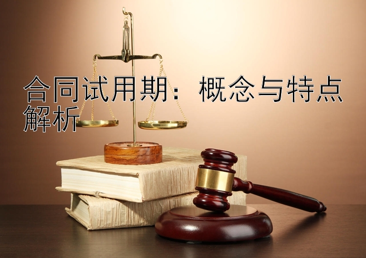 合同试用期：概念与特点解析