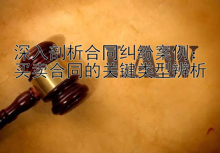 深入剖析合同纠纷案例：买卖合同的关键类型辨析