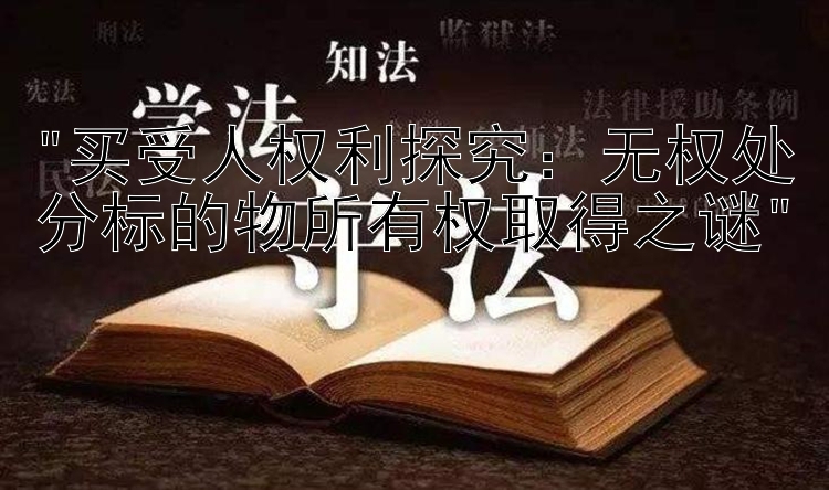 买受人权利探究：无权处分标的物所有权取得之谜